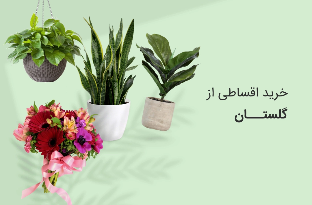 گل ستان - web.shopCover