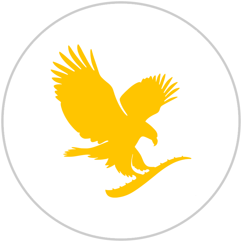 فور اور - web.shopLogo