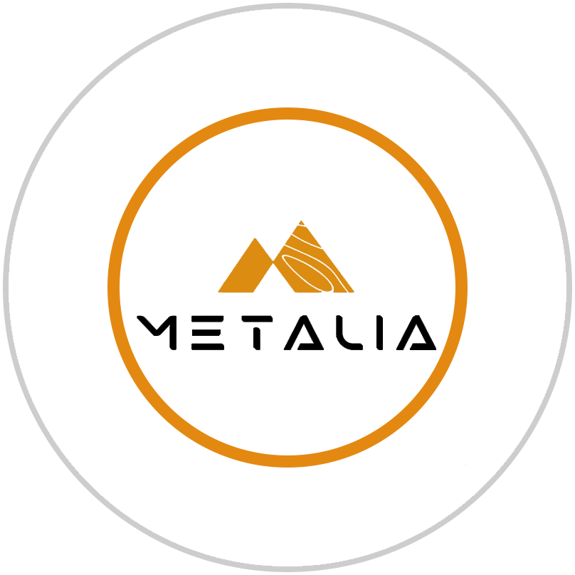 متالیا - web.shopLogo
